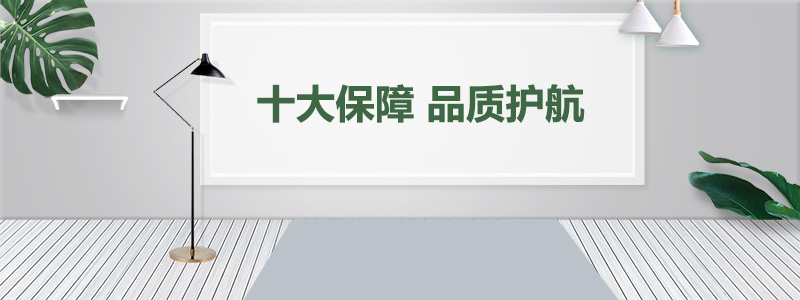 十大保障，品质护航