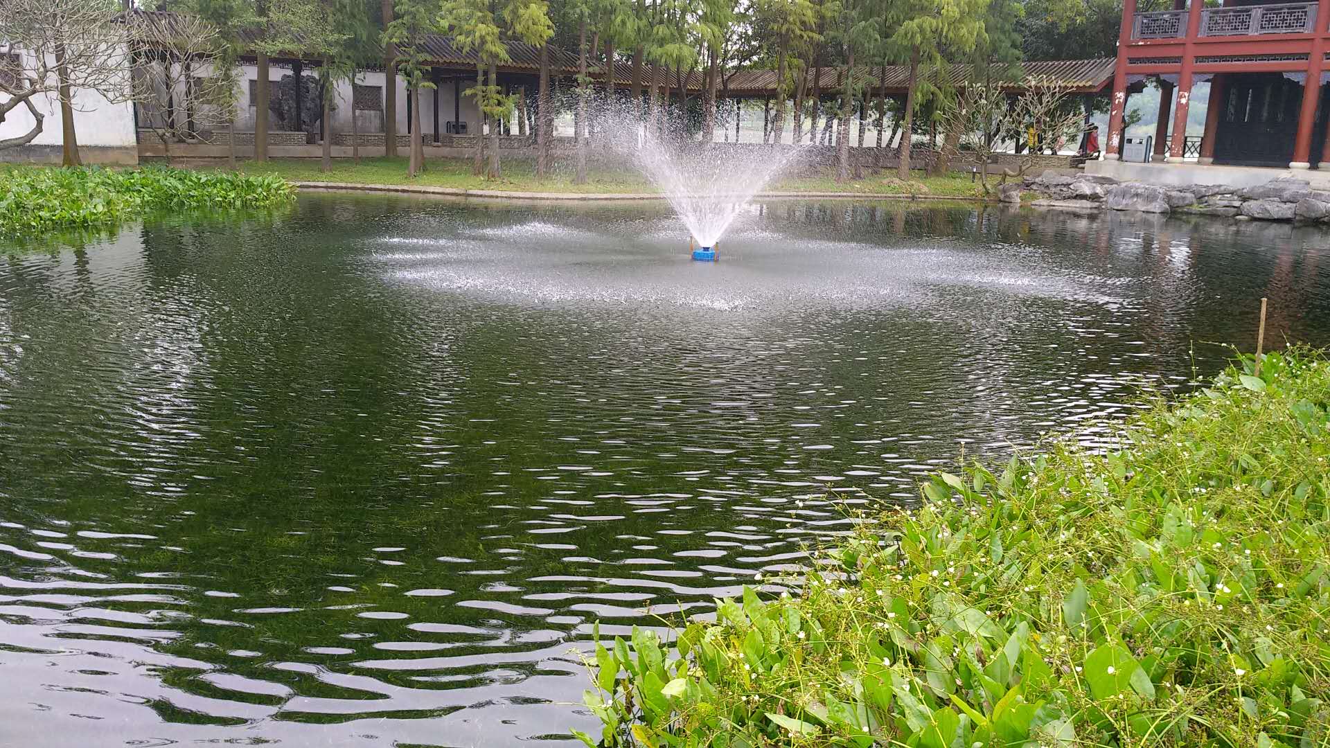 佛山顺风山公园湖泊河道治理_顶胜水务