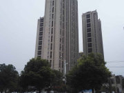 奥体新城