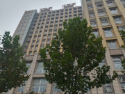 幸会幸会