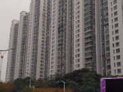 中南世纪城南区