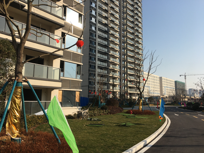 2023年2月16日尚泽锦悦府和花芊墅业主雅居开工大吉