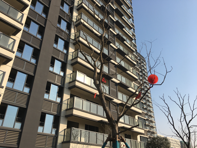 2023年2月16日尚泽锦悦府和花芊墅业主雅居开工大吉