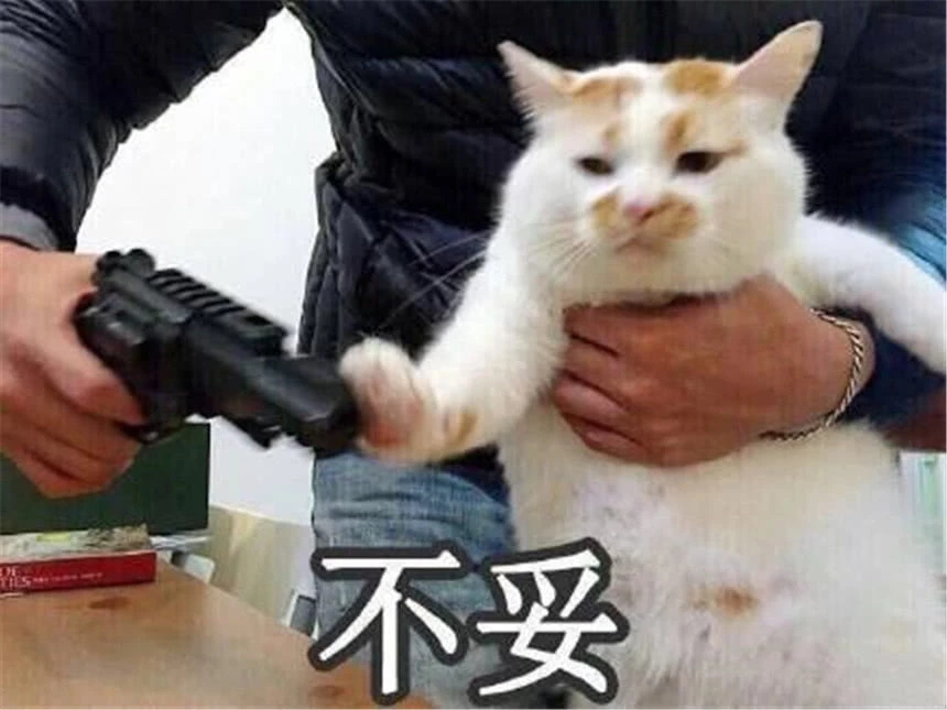 为什么我转了那么多的市场,却依然装修不好? 为什么我转了那么多的市场,却依然装修不好?