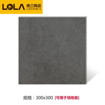 南昌楼兰陶瓷 瓷石系列 小地砖 PDC301119 300*300