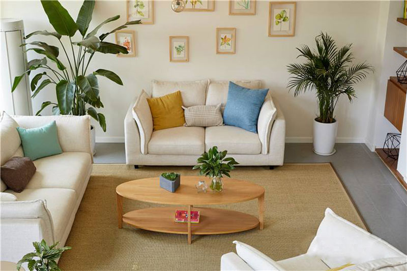 家居綠植擺放風水禁忌，教你8招打造舒适放心家！